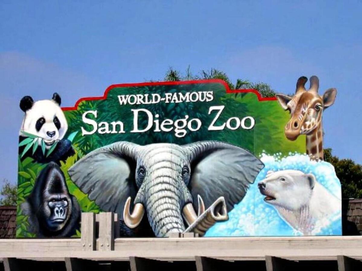 Viva San Diego Zewnętrze zdjęcie